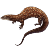 Ackie Monitor: Red 